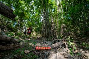 BIB: 
                            <button type="button" onclick="openModal(19394025)" class="btn btn-primary btn-sm float-right btn-popup" data-toggle="modal" data-target=".modal-high-quality">
                        <i class="fas fa-shopping-cart"></i> Add to Cart
                    </button>
                                            <button type="button" onclick="isThisMe(19394025, true)" class="btn btn-success btn-sm float-right btn-popup btn-isme hidden" data-toggle="tooltip" data-placement="bottom" title="นี่คือรูปของคุณใช่ไหม คลิกที่นี่เพื่อเอาเข้าอัลบั้ม">
                        <i class="fas fa-plus"></i> Add to album
                    </button>
                    <button type="button" onclick="isThisMe(19394025, false)" class="btn btn-warning btn-sm float-right btn-popup btn-isnotme hidden">
                        <i class="fas fa-ban"></i> Remove from album
                    </button>